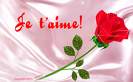 http://k-nayda.vip-blog.com